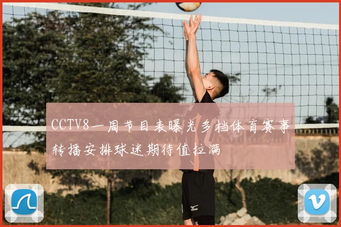 CCTV8一周节目表曝光多档体育赛事转播安排球迷期待值拉满